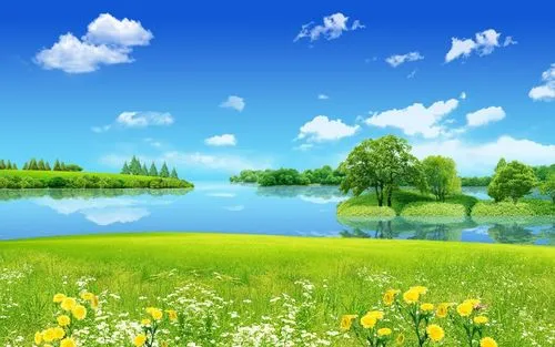 创意稳定性创意